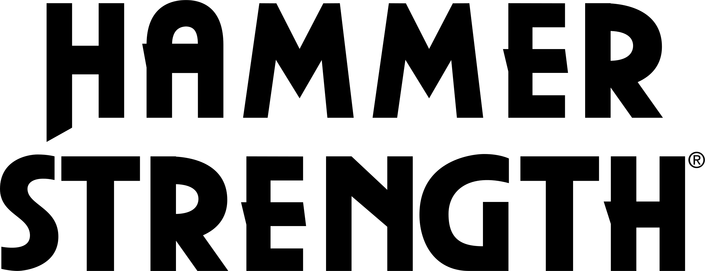Hammer Strength Equipment Partner
